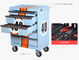 5 Drawers Mobile Tool Cabinets