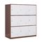 Commercial ISO9001 Metal Locker Storage Cabinet Corrosion Resistance