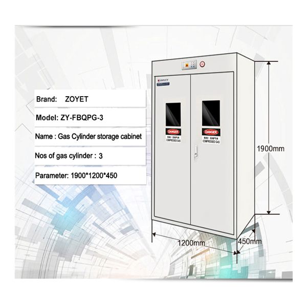 Lab Steel Compressed Gas Cylinder Cabinets Two Door With