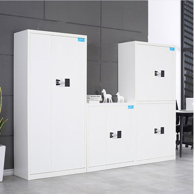 Knock Down OEM Cold Rolled Steel File Cabinet With Lock